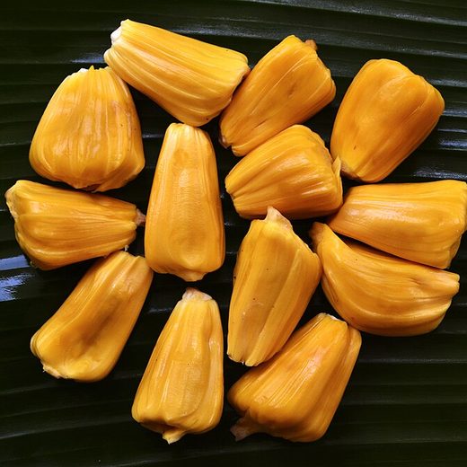 কাঁঠালের ছবি