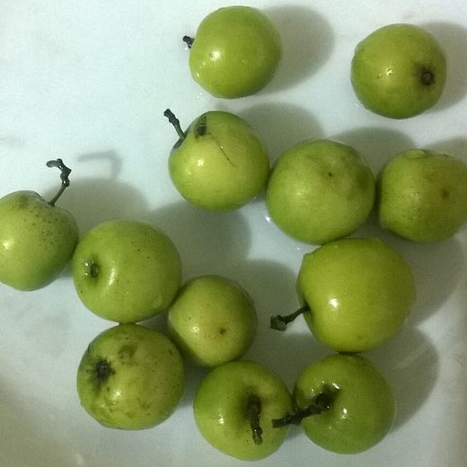 বরইর ছবি